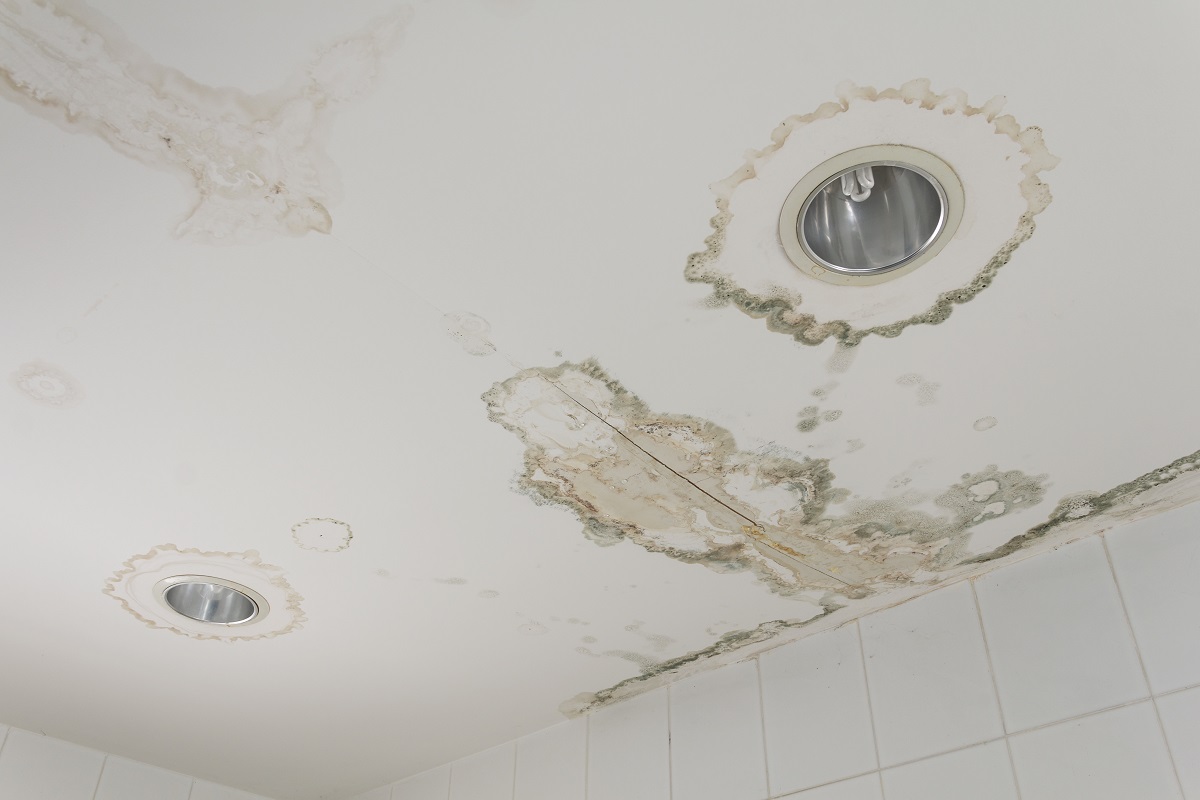 mold on ceiling